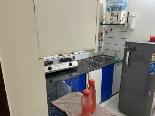 1 BHK + 1 Bath (500 sqft) Apartment/Flat for Rent in Greens Apartment Greens Apartment, Mehrauli