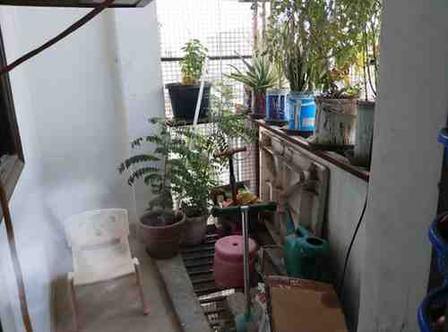 1 BHK + 1 Bath (430 sqft) Apartment/Flat for Rent in Sukhdham Apartment, Sultanpur