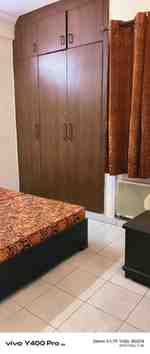 1 BHK + 2 Baths (581 sqft) Apartment/Flat for Rent in DDA Kaveri Apartment, Vasant Kunj