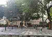 2 BHK + 2 Baths (1,100 sqft) Apartment/Flat for Rent in Pocket 8, Sector C, Vasant Kunj