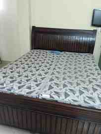 1 BHK + 1 Bath (361 sqft) Apartment/Flat for Rent in Kasturba Niketan Complex Kasturba Niketan, South Delhi