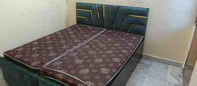 1 BHK + 1 Bath (450 sqft) Apartment/Flat for Rent in Dwarka Sector 7