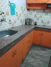 1 BHK + 2 Baths (500 sqft) Apartment/Flat for Rent in RWA Phase 1, Chhattarpur Enclave
