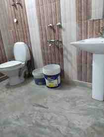 1 BHK + 2 Baths (500 sqft) Apartment/Flat for Rent in RWA Phase 1, Chhattarpur Enclave