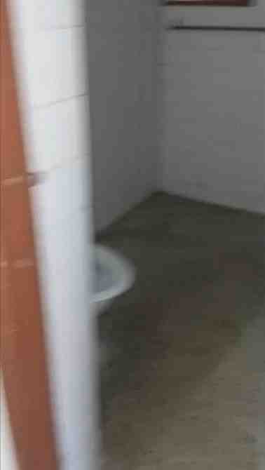 3 BHK Flat for Rent in Vasant Kunj, South Delhi (Pocket 6, Sector C)