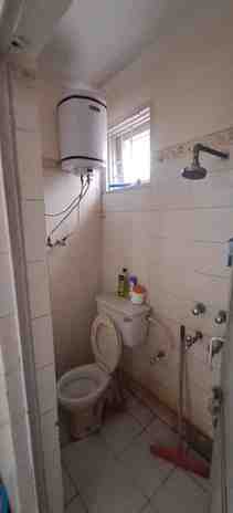 1 BHK + 2 Baths (550 sqft) Apartment/Flat for Rent in DDA Kaveri Apartment, Vasant Kunj